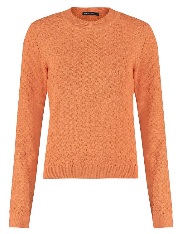 Blusa-Imagem 8