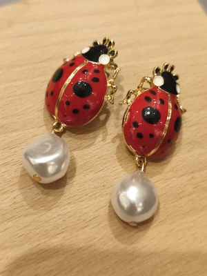 BRINCO DOURADO JOANINHA